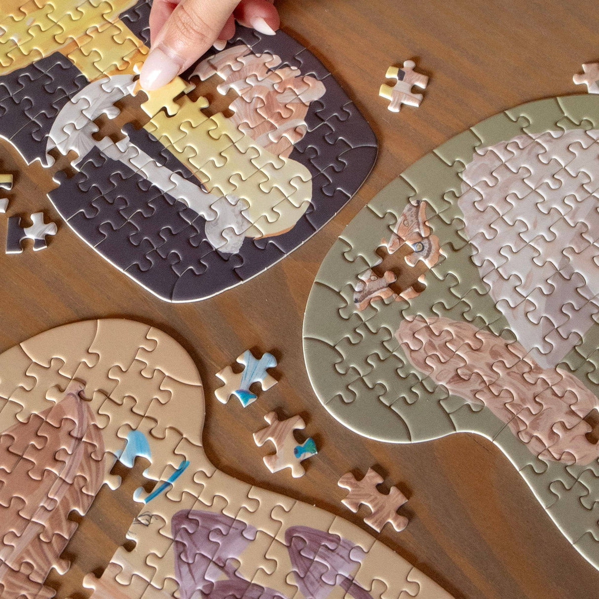 Midnight Flora & Fauna 100 Jigsaw Puzzles | 1Canoe2 - Jigsaw Puzzles - The Puzzle Center