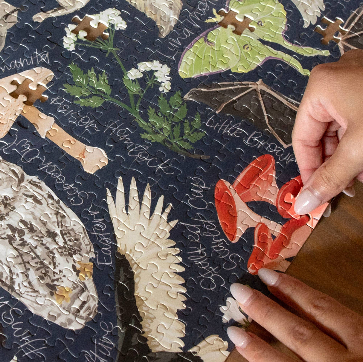 Midnight Flora & Fauna 1000 Piece Jigsaw Puzzle | 1Canoe2 - Jigsaw Puzzles - The Puzzle Center