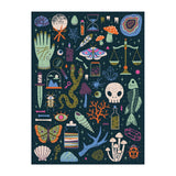 Occult and Curious 1000 Piece Glow in the Dark Puzzle | Galison - Jigsaw Puzzles - The Puzzle Center