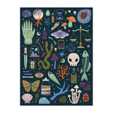 Occult and Curious 1000 Piece Glow in the Dark Puzzle | Galison