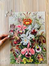Orchids 500 Piece Jigsaw Puzzle | Penny Puzzle - Jigsaw Puzzles - The Puzzle Center
