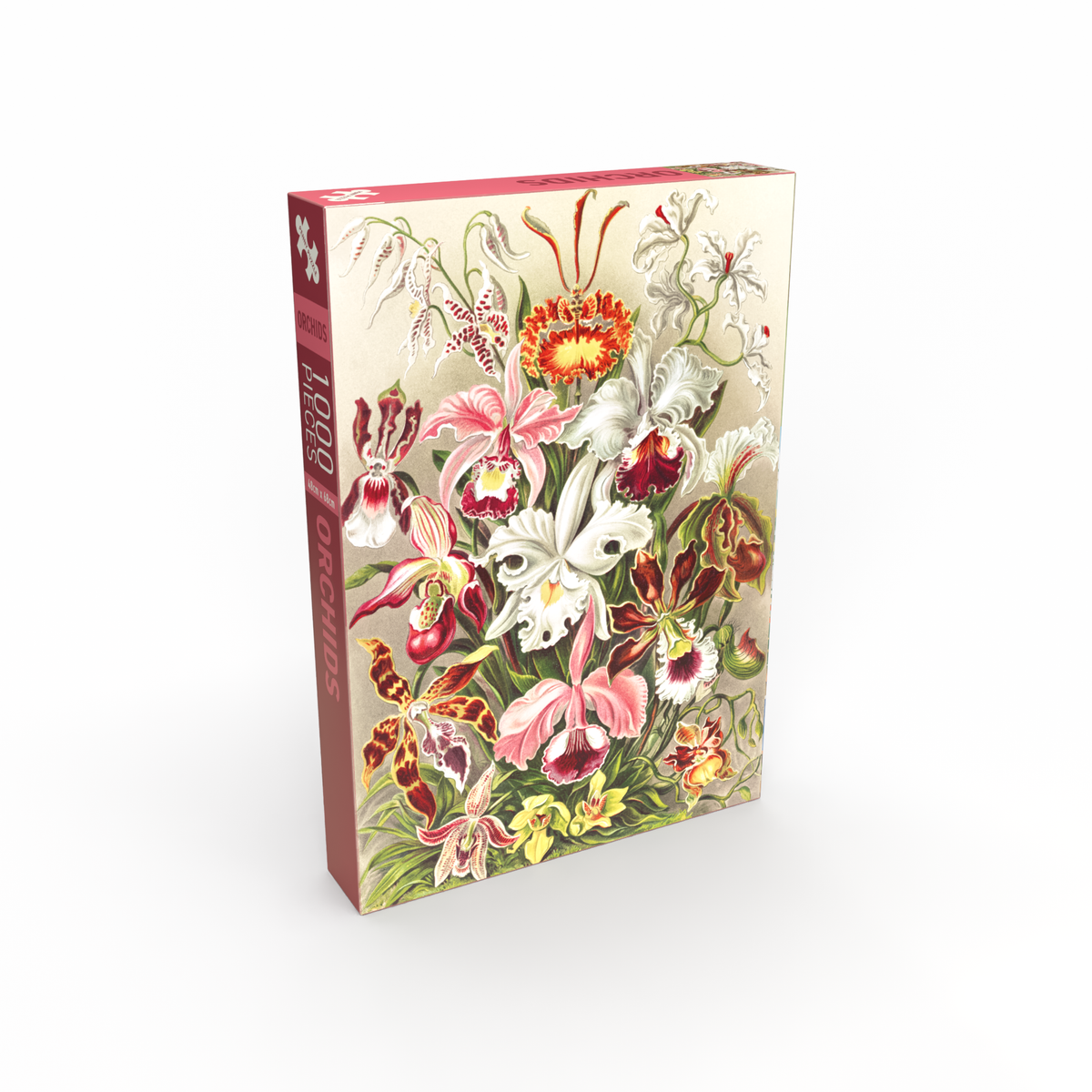 Orchids 500 Piece Jigsaw Puzzle | Penny Puzzle