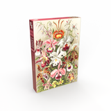 Orchids 500 Piece Jigsaw Puzzle | Penny Puzzle