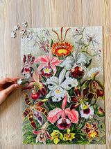 Orchids 500 Piece Jigsaw Puzzle | Penny Puzzle