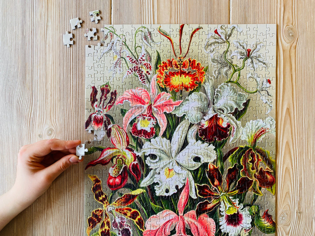 Orchids 500 Piece Jigsaw Puzzle | Penny Puzzle