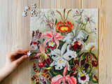 Orchids 500 Piece Jigsaw Puzzle | Penny Puzzle