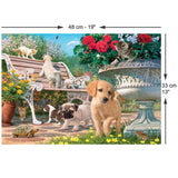 Pets Hide and Seek 260 Piece Jigsaw Puzzle | Anatolian