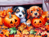Puppies And Jacks 500 Piece Jigsaw Puzzle | SunsOut