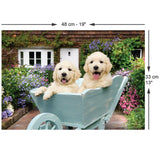 Puppies in a Wheelbarrow 260 Piece Jigsaw Puzzle | Anatolian - Jigsaw Puzzles - The Puzzle Center