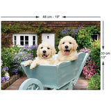 Puppies in a Wheelbarrow 260 Piece Jigsaw Puzzle | Anatolian