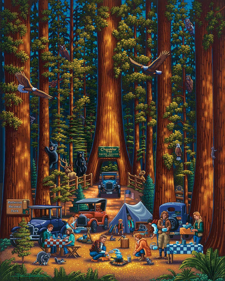 Redwood National Park 500 Piece Jigsaw Puzzle by Dowdle - Dowdle - Jigsaw Puzzles - The Puzzle Center