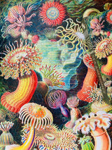 Sea Anemones 1000 Piece Jigsaw Puzzle | Penny Puzzle - Jigsaw Puzzles - The Puzzle Center