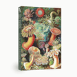 Sea Anemones 1000 Piece Jigsaw Puzzle | Penny Puzzle - Jigsaw Puzzles - The Puzzle Center