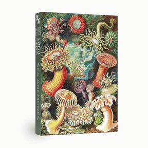 Sea Anemones 1000 Piece Jigsaw Puzzle | Penny Puzzle - Jigsaw Puzzles - The Puzzle Center