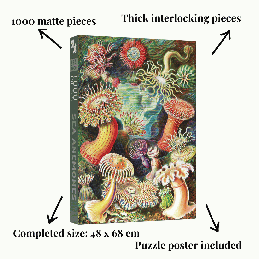 Sea Anemones 1000 Piece Jigsaw Puzzle | Penny Puzzle - Jigsaw Puzzles - The Puzzle Center