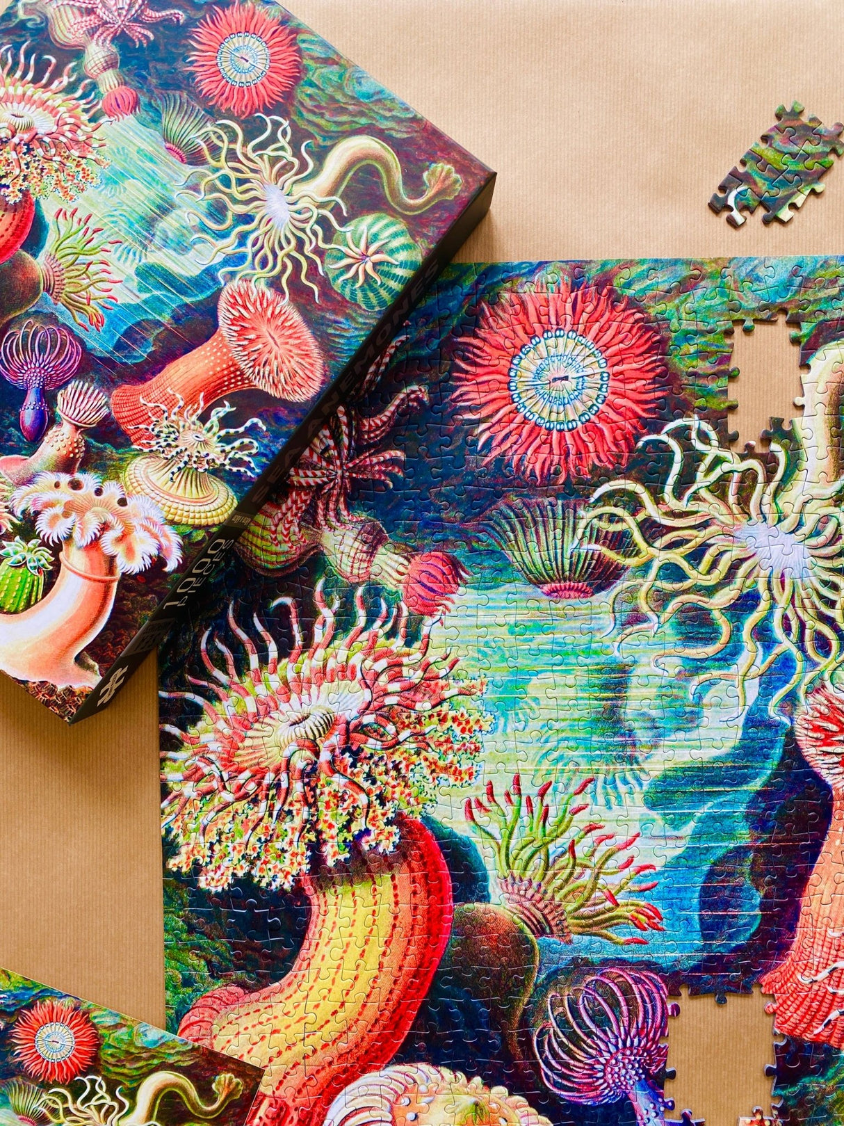 Sea Anemones 1000 Piece Jigsaw Puzzle | Penny Puzzle - Jigsaw Puzzles - The Puzzle Center
