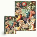 Sea Anemones 1000 Piece Jigsaw Puzzle | Penny Puzzle - Jigsaw Puzzles - The Puzzle Center