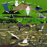 The Everglades 1000 Piece Jigsaw Puzzle | Pomegranate - Jigsaw Puzzles - The Puzzle Center