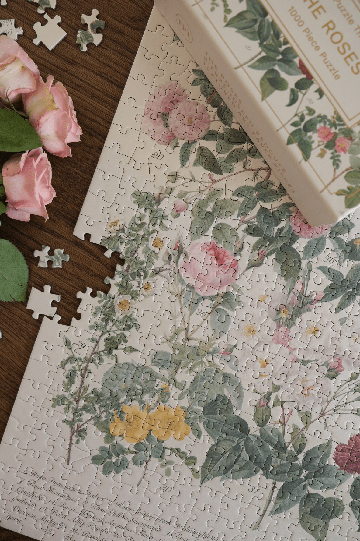 The Roses 1000 Piece Jigsaw Puzzle | The Puzzle Theory - Jigsaw Puzzles - The Puzzle Center