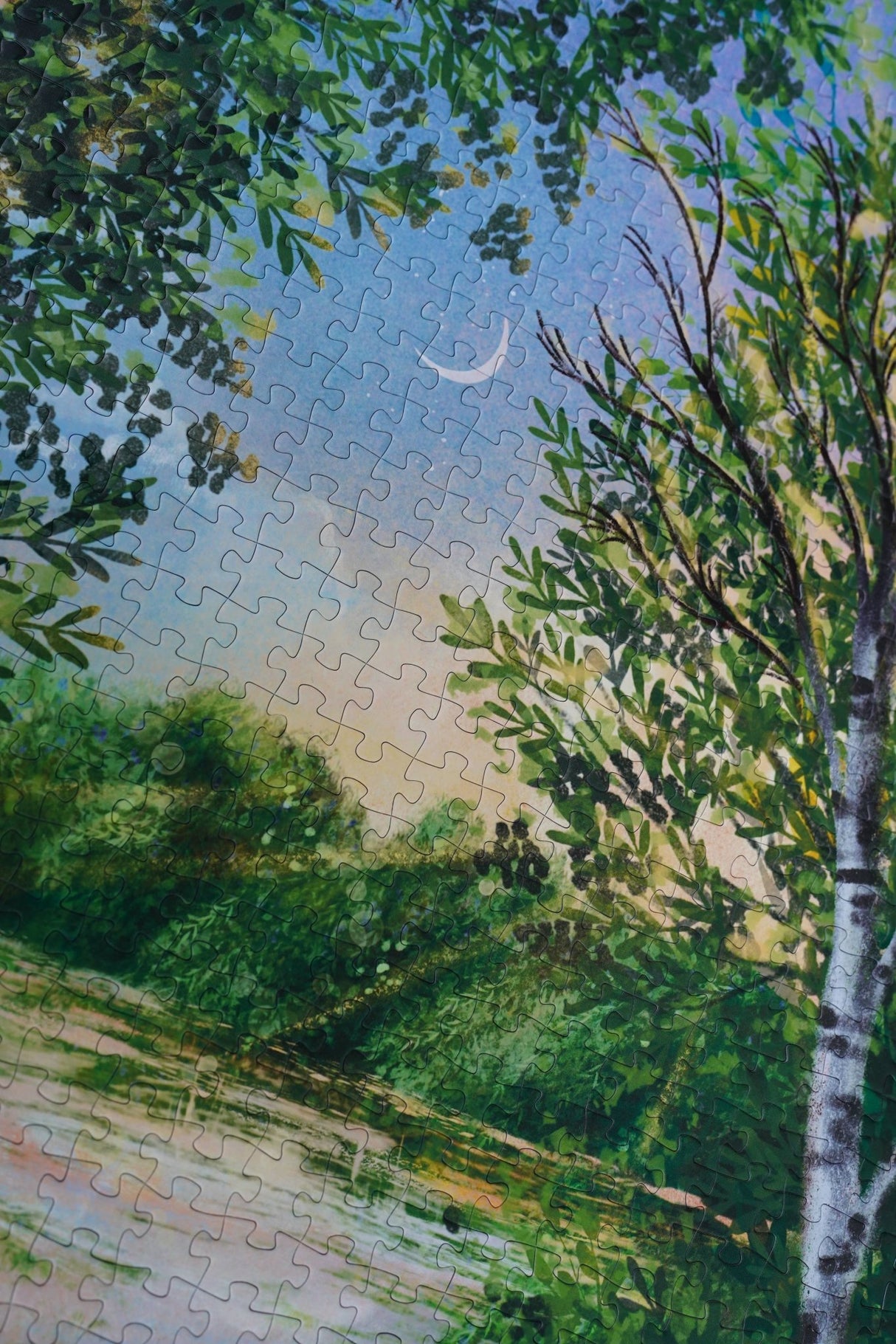 Through The Wild 1000 Piece Jigsaw Puzzle | WEVE Puzzle - Jigsaw Puzzles - The Puzzle Center