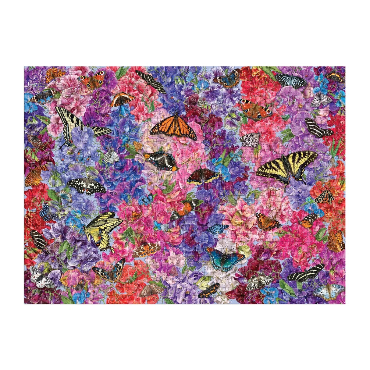 Troy Litten Butterflies In the Sweet Peas 1000 Piece Jigsaw Puzzle | Galison - Jigsaw Puzzles - The Puzzle Center