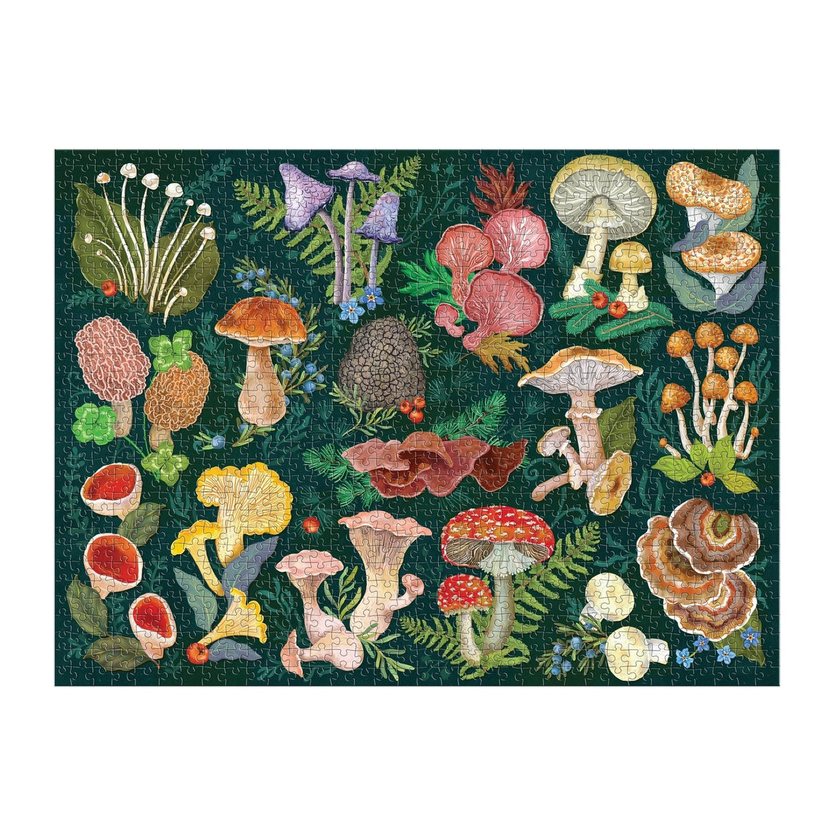 World of Mushrooms 1000 Piece Jigsaw Puzzle | Galison